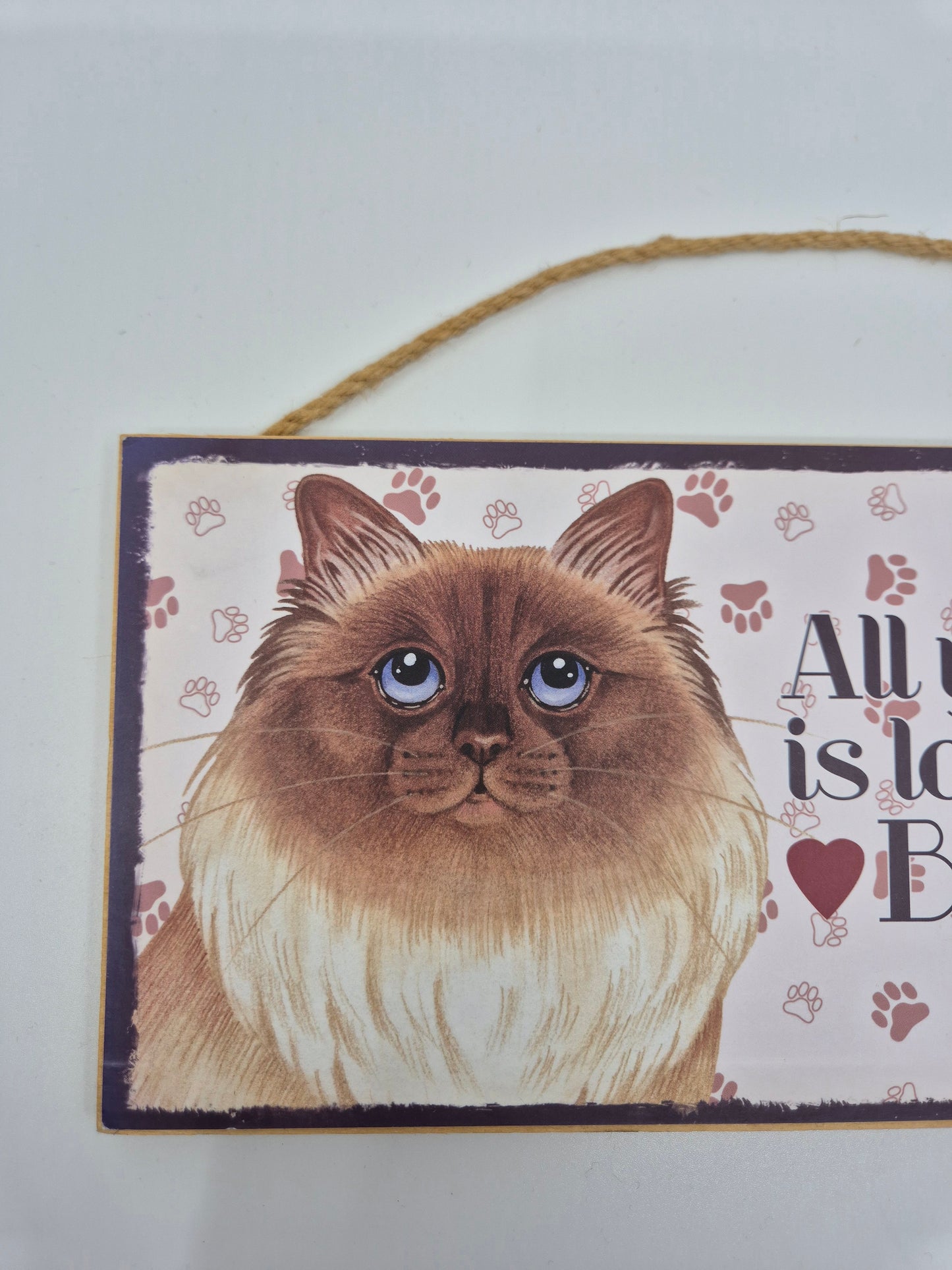 Puidust silt Birma kass