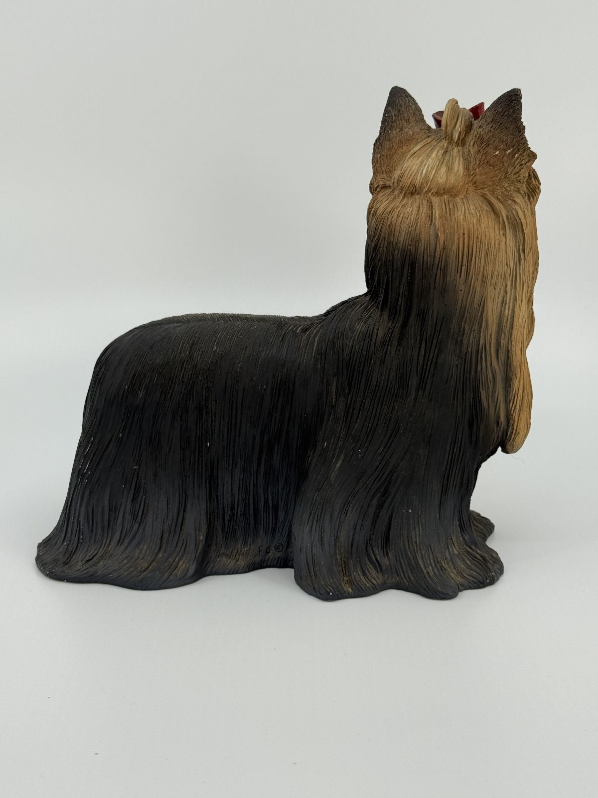 Koerakuju Yorkshire terjer