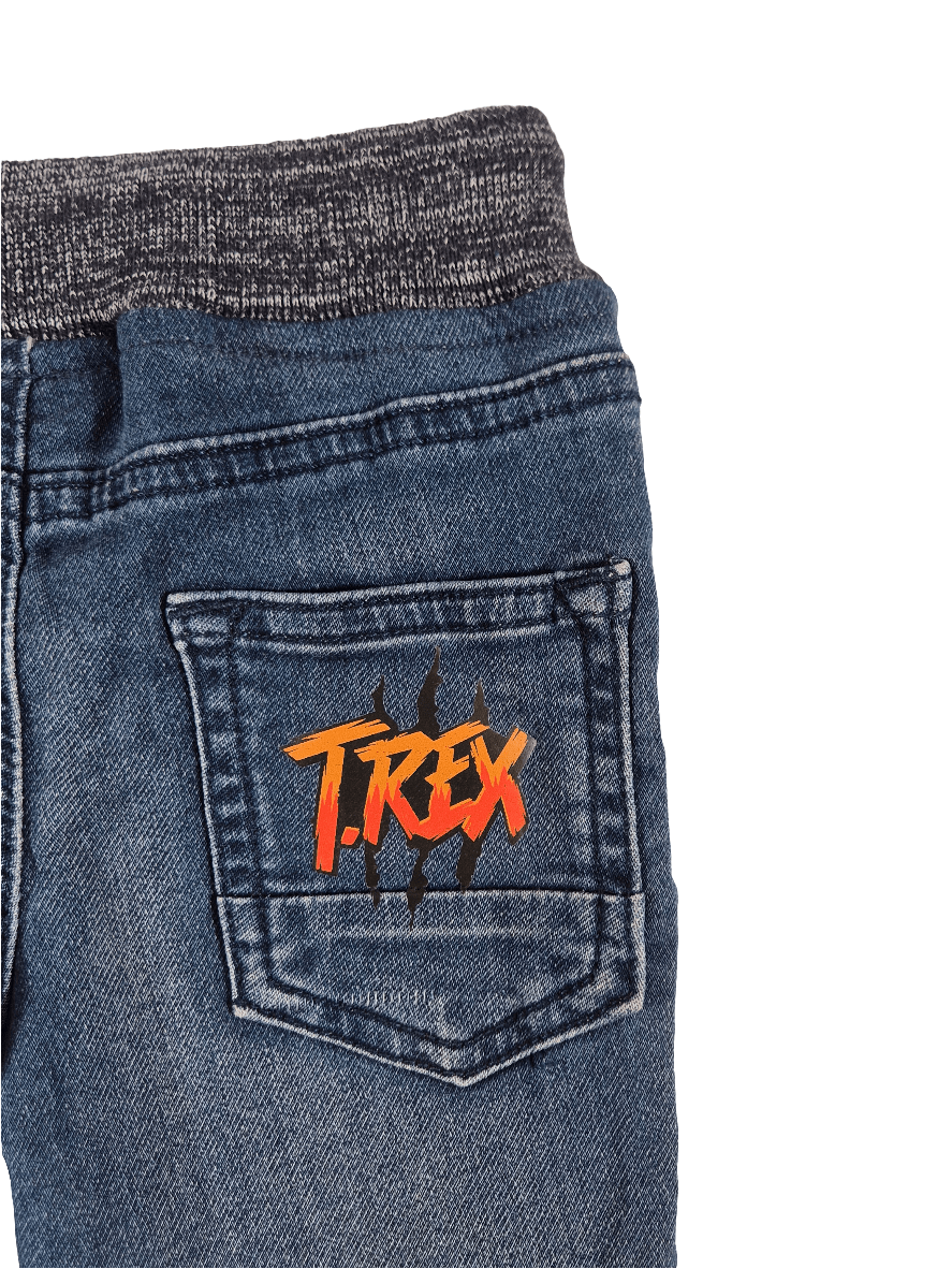 DENIN CO Poiste stretšteksad T.Rex