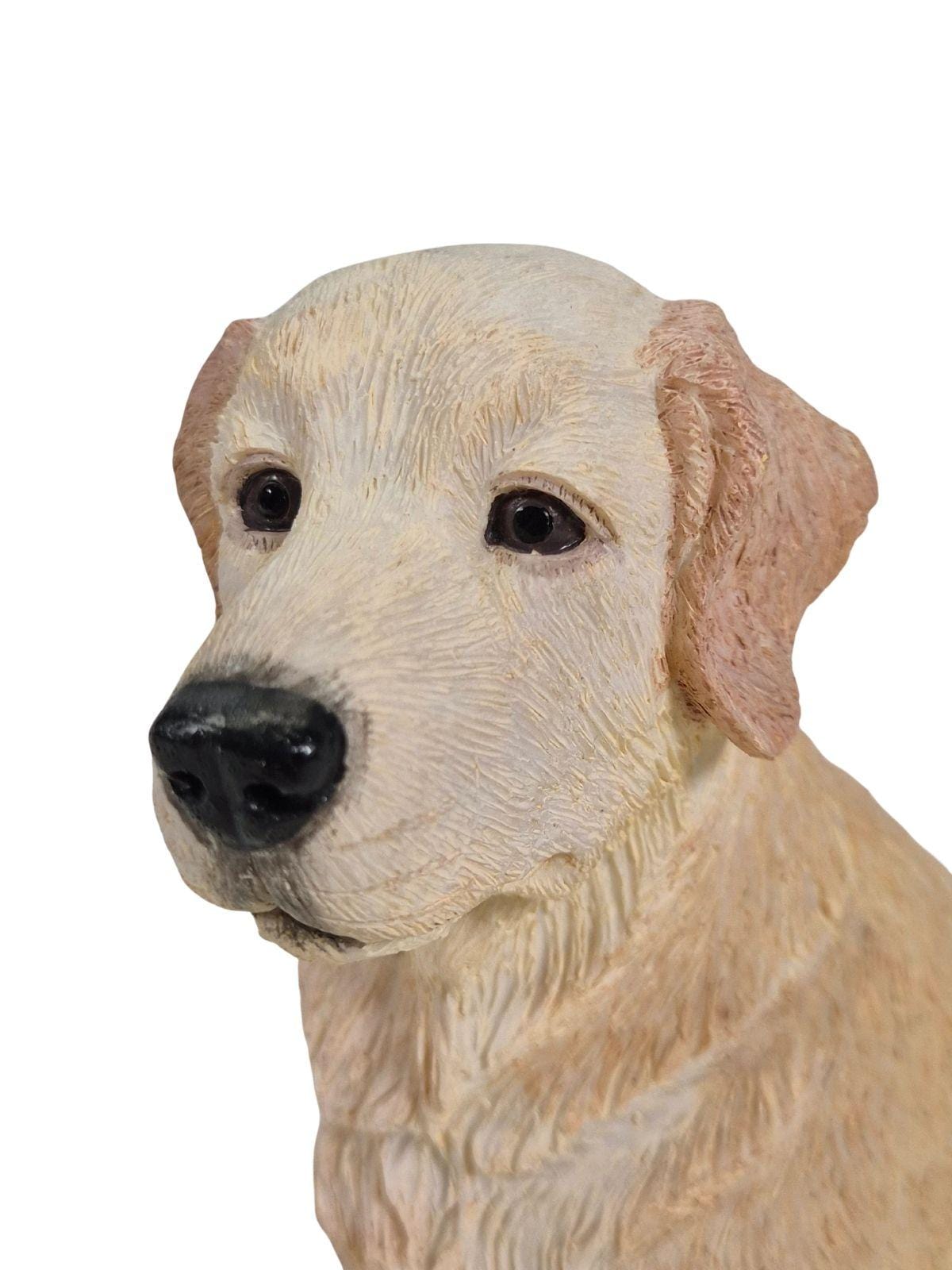 REGENCY FINE ARTS Kuju Kuldne retriiver