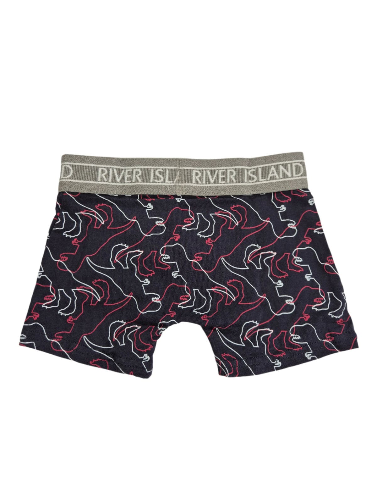 RIVER ISLAND Poiste sinised draakonitega bokserid