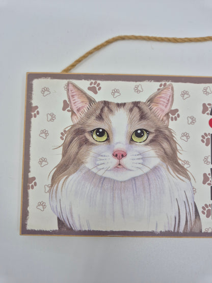 Puidust silt Norra metskass