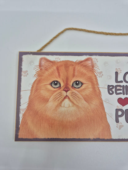 Puidust silt Pärsia kass