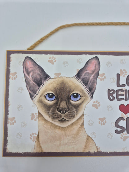 Puidust silt Siiami kass