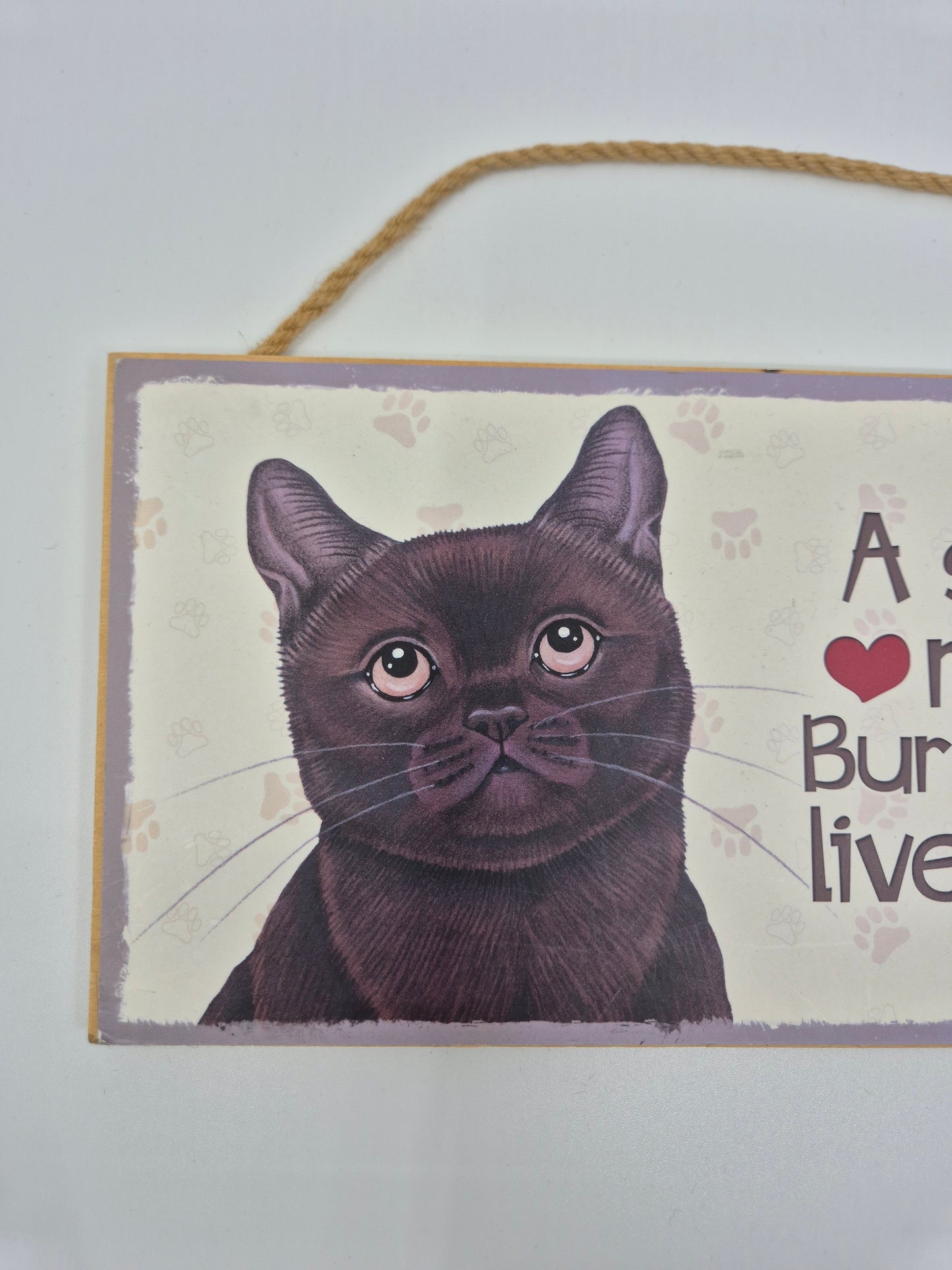 Puidust silt Burma kass