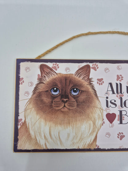 Puidust silt Birma kass