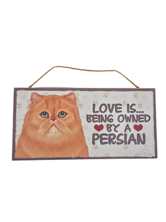 Puidust silt Pärsia kass