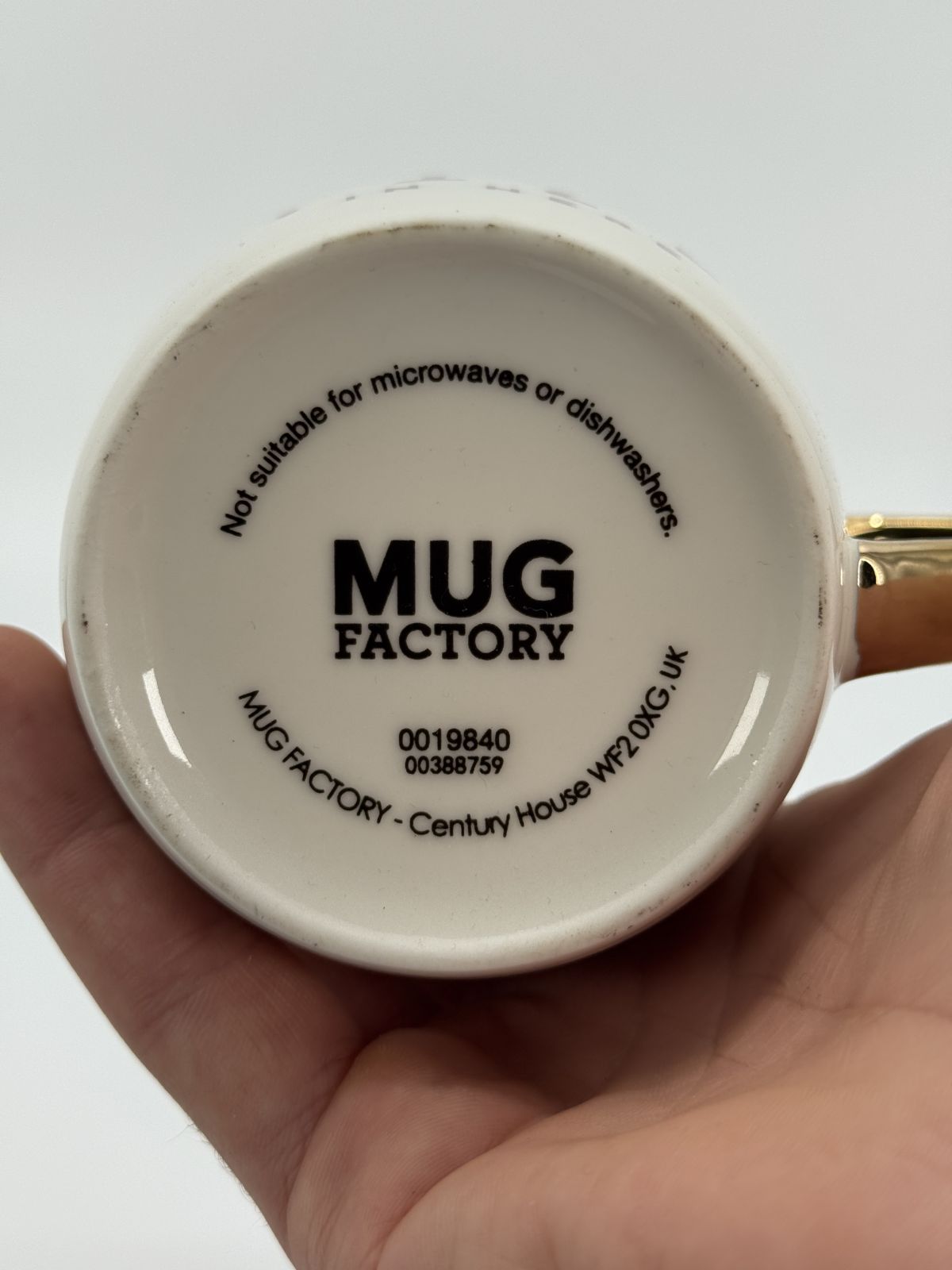 Mug Company tass tekstiga