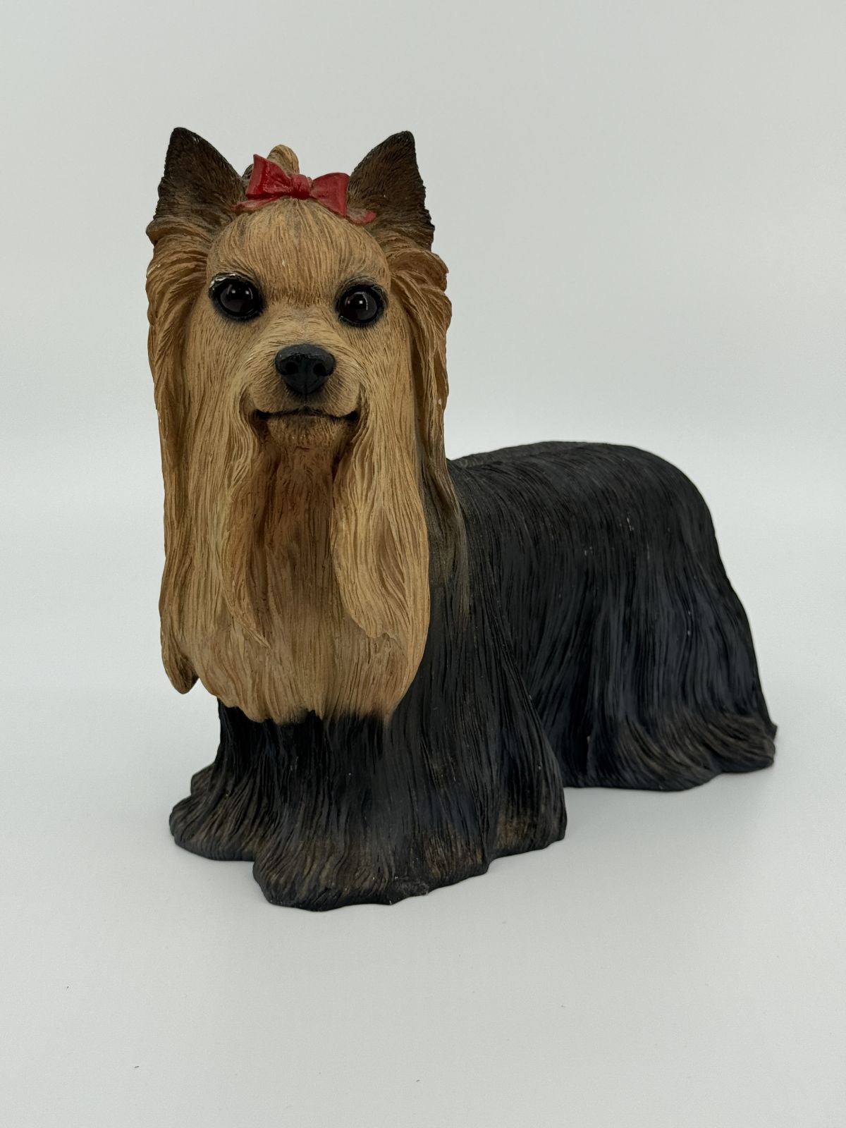 Koerakuju Yorkshire terjer