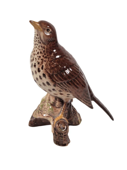 BESWICK POTTERY Beswick Birds Thrush. Made in England.