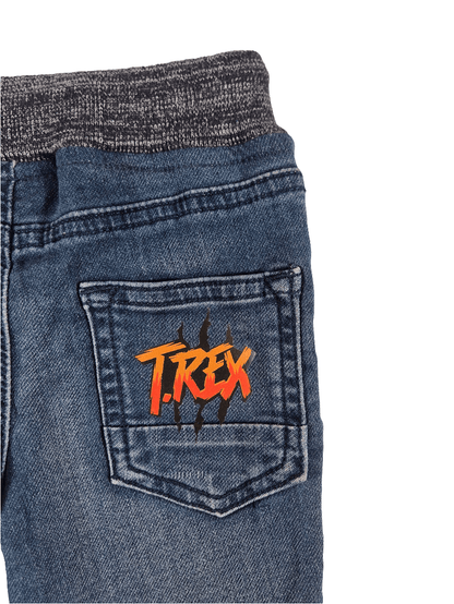 DENIN CO Poiste stretšteksad T.Rex