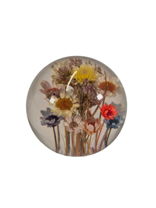 HAFOD GRANGE Paberiraskus BEENDET
Vintage Hafod Grange Acryl getrocknete Blumen Briefbeschwerer