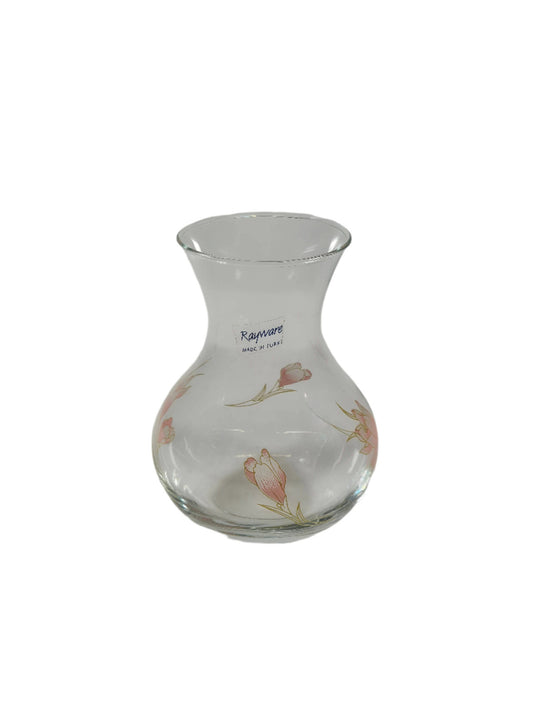 RAYWARE Vaas
