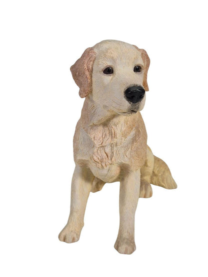 REGENCY FINE ARTS Kuju Kuldne retriiver