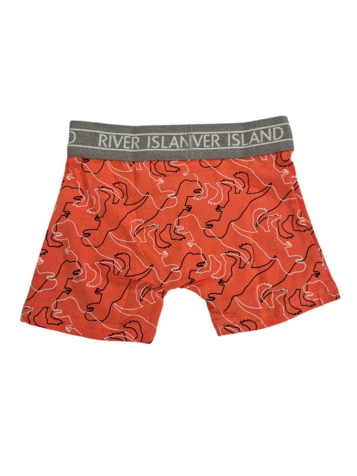RIVER ISLAND Poiste oranžid draakonitega bokserid