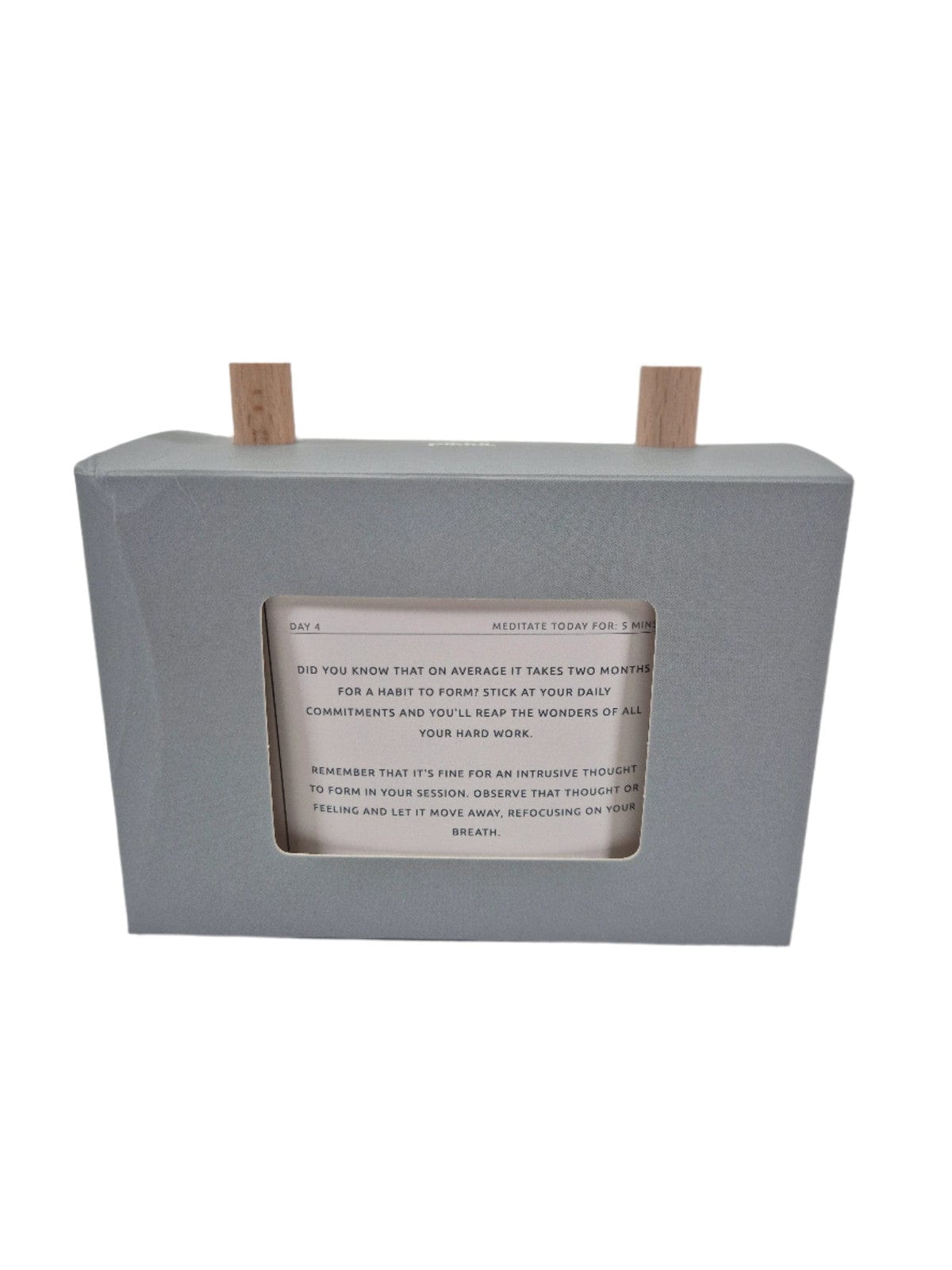 SECOND BEST TAASKASUTUS 90-päevane meditatsiooniteekond