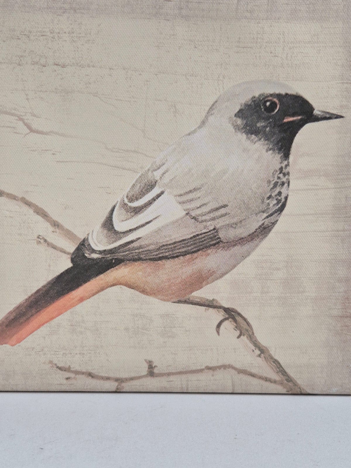 SECOND BEST TAASKASUTUS Linnumaal lõuendil