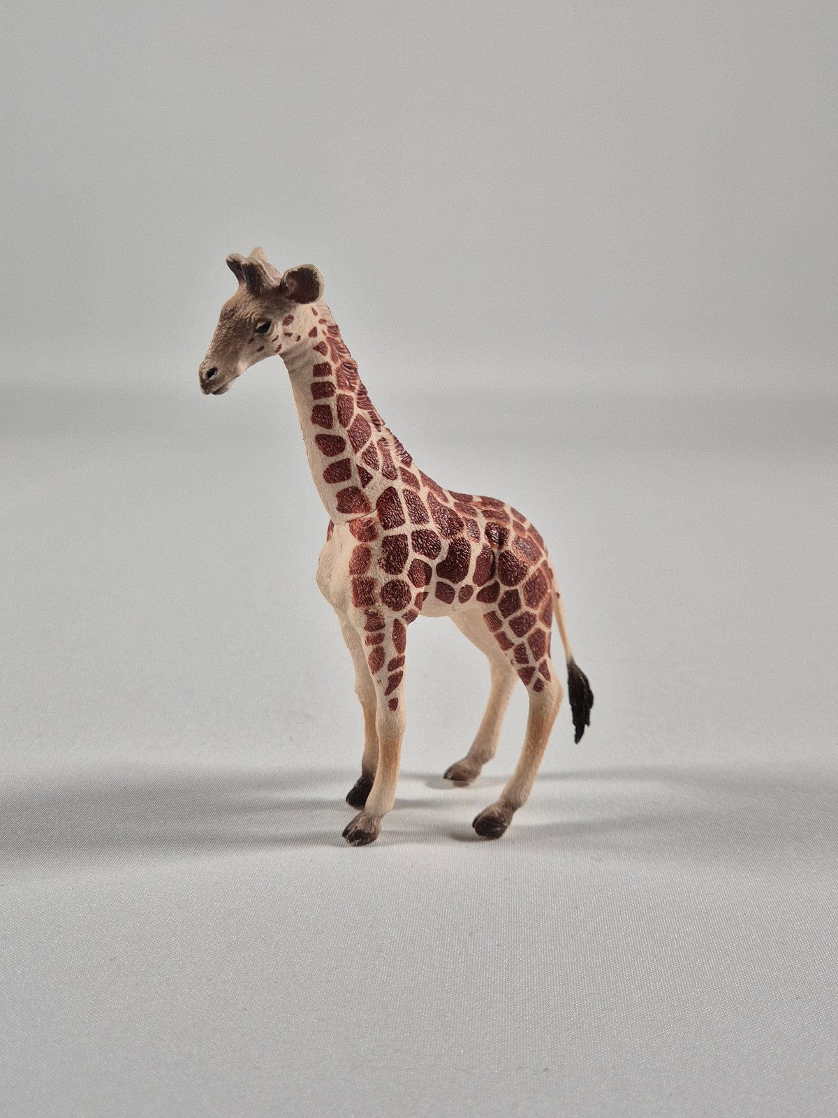 SECOND BEST TAASKASUTUS Loomad + palmid 7k