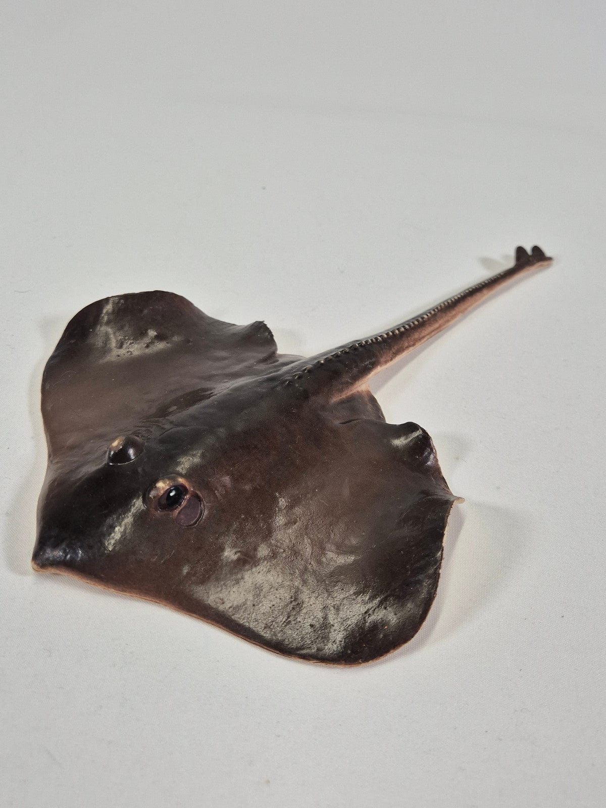 SECOND BEST TAASKASUTUS Mereloomad 9tk komplektis