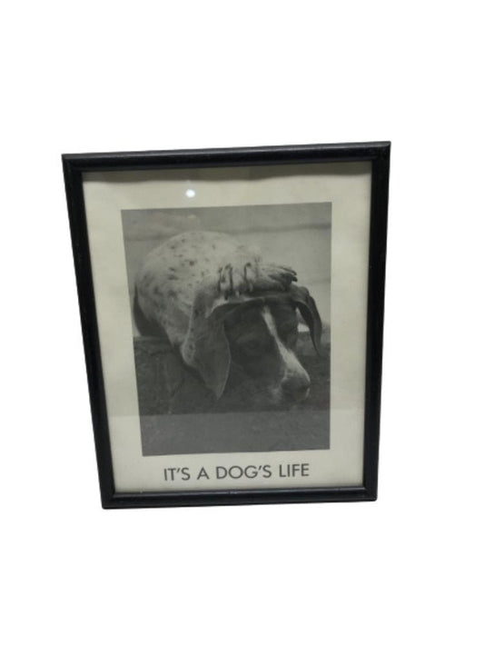 SECOND BEST TAASKASUTUS Pilt koer