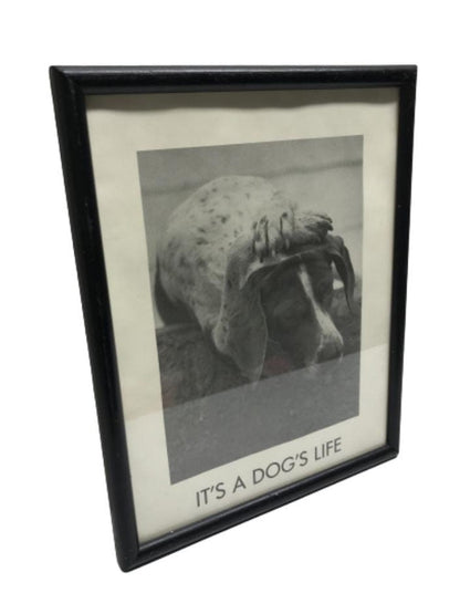 SECOND BEST TAASKASUTUS Pilt koer