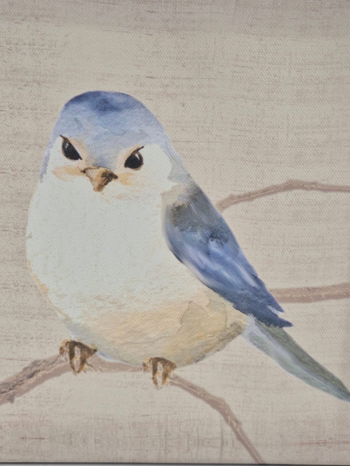 SECOND BEST TAASKASUTUS Pilt sinise linnuga