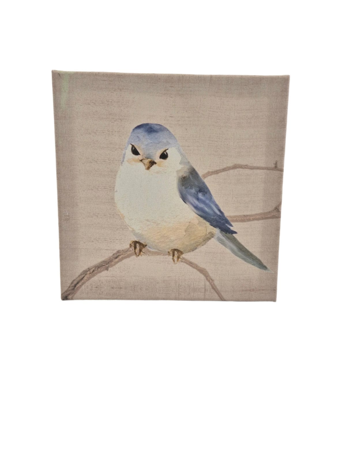 SECOND BEST TAASKASUTUS Pilt sinise linnuga