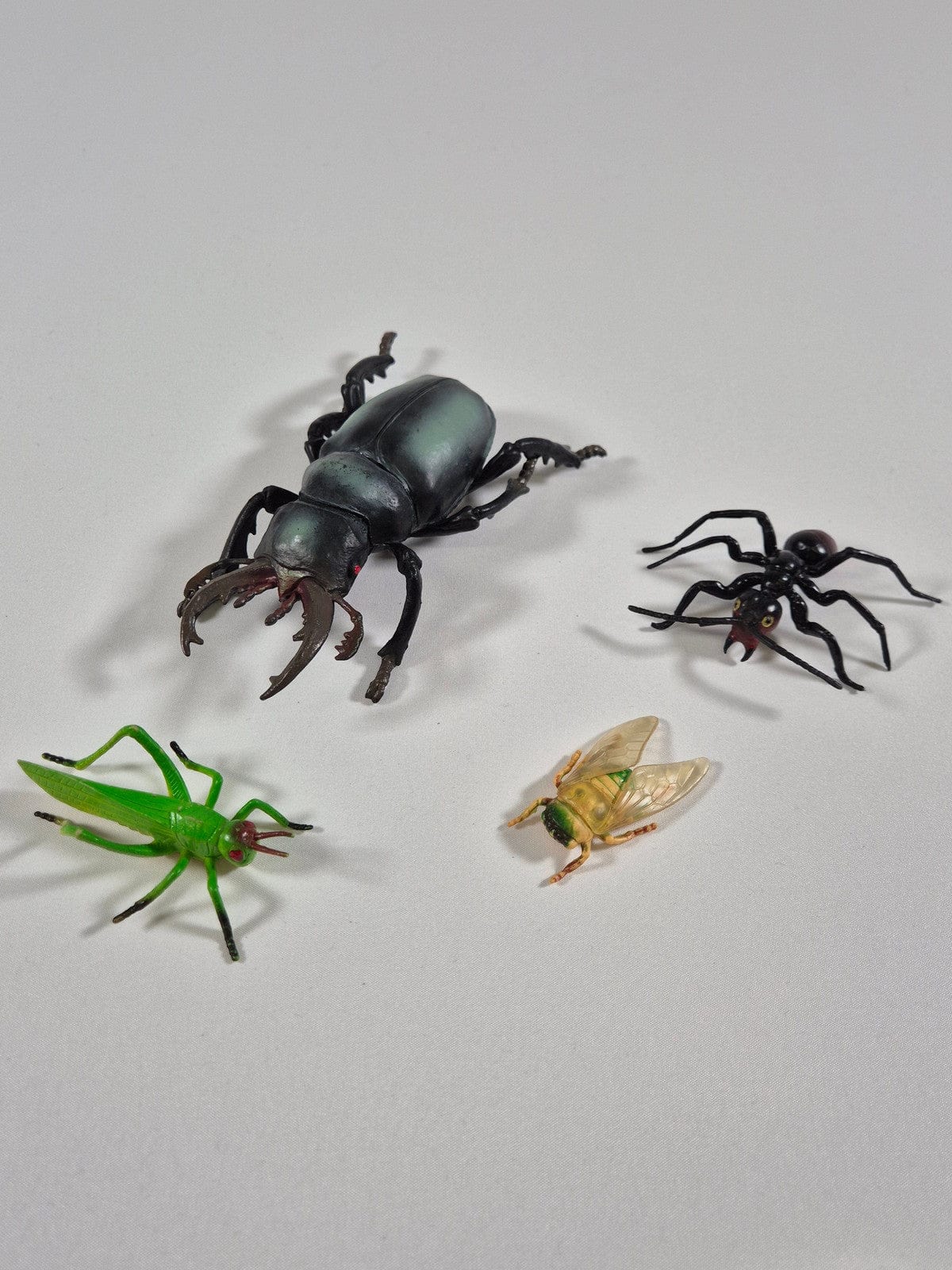 SECOND BEST TAASKASUTUS Putukad 4tk