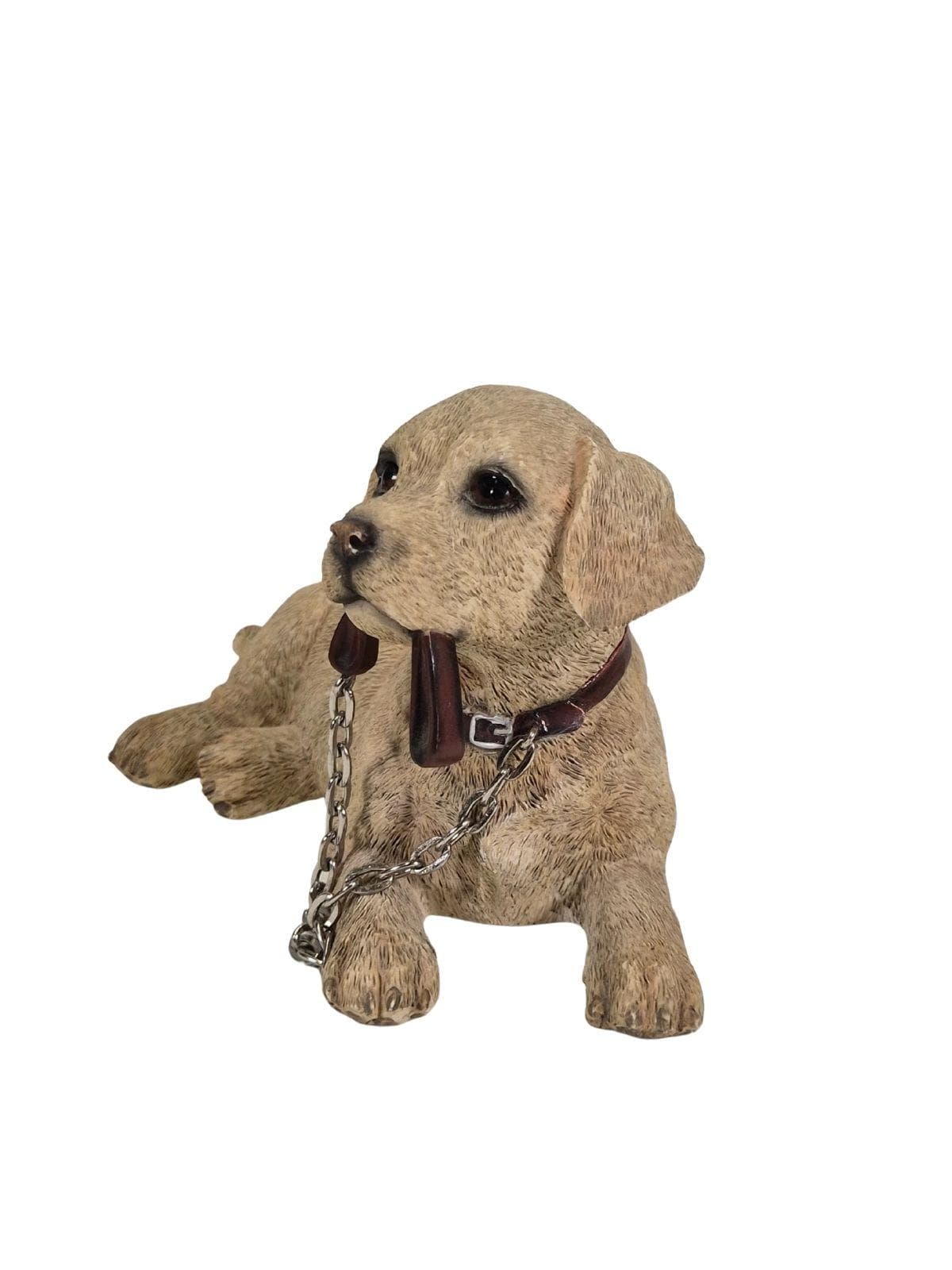 THE LEONARDO COLLECTION Koer Kuldne retriiver